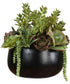 Mico Indoor-Outdoor Succulent Centerpiece