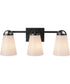 Zane 3-Light Lighting Flat Black