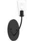 Jheni 1-Light Wall Sconce with Clear Glass Shades Matte Black