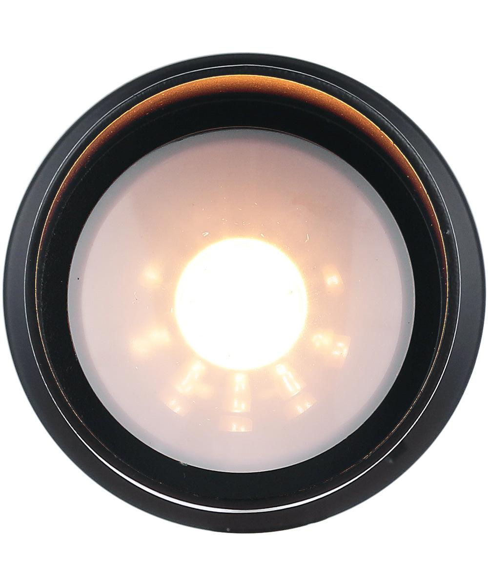 LED Flood Outdoor Lighting Midnight