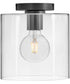 Pippa 1-Light Extra Small Flush Mount in Black