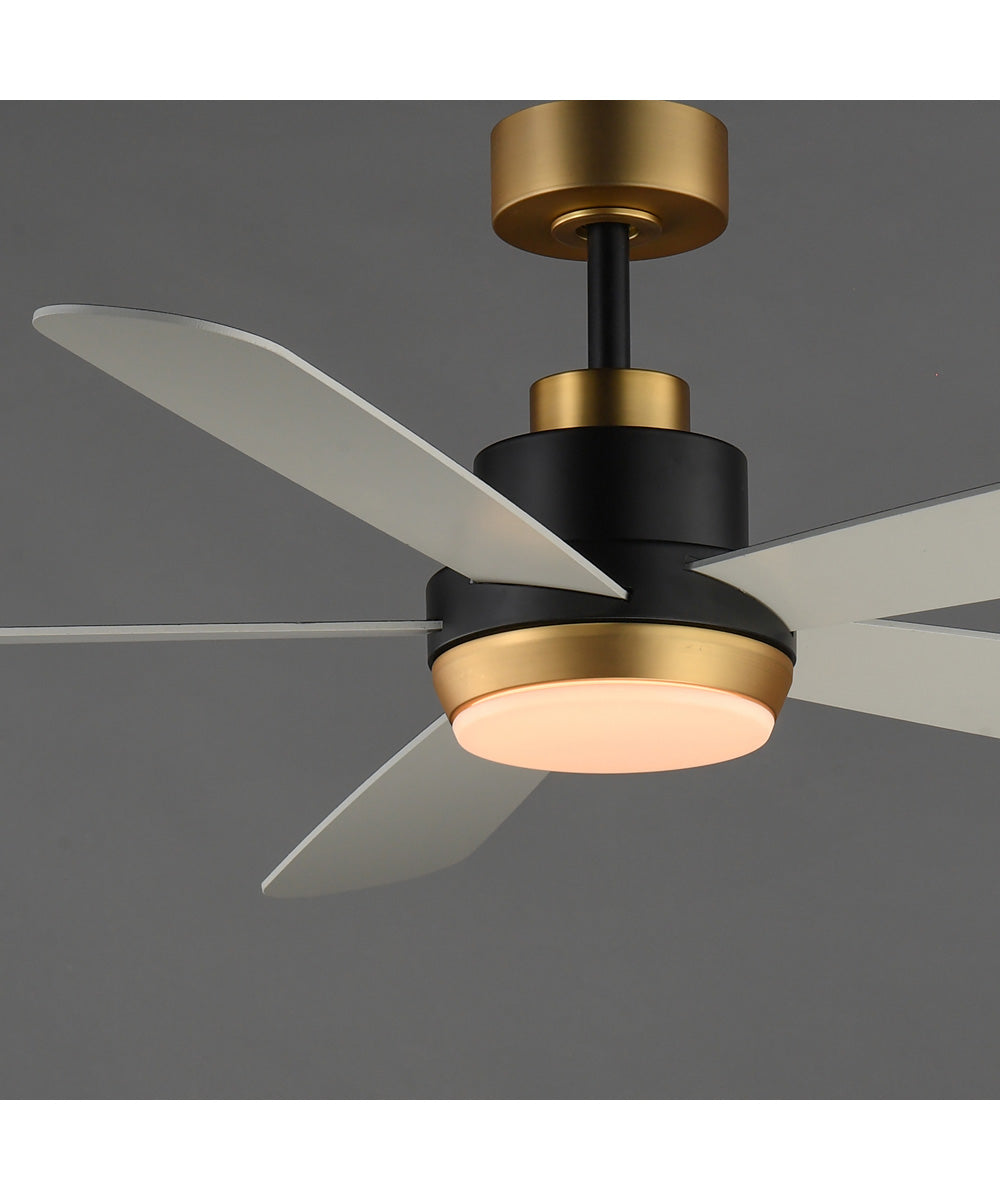 Daisies 60 inch 5-Blade Fan w LED Black / Gold
