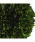 Preserved Boxwood Triple Topiary