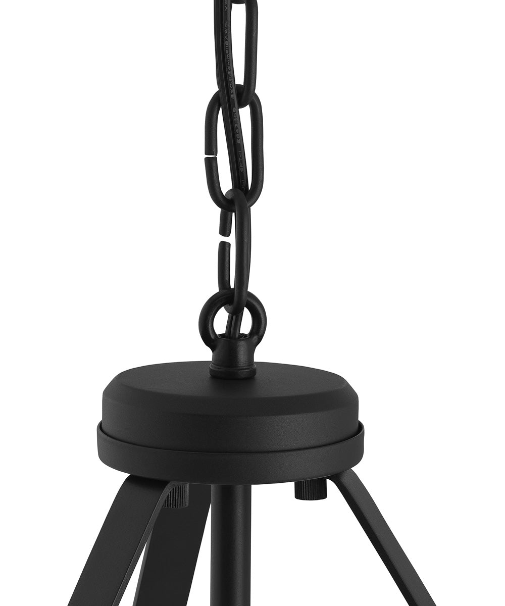 Lieon 2-Light Convertible Pendant Black