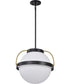 Lakeshore 1-Light Pendant Matte Black
