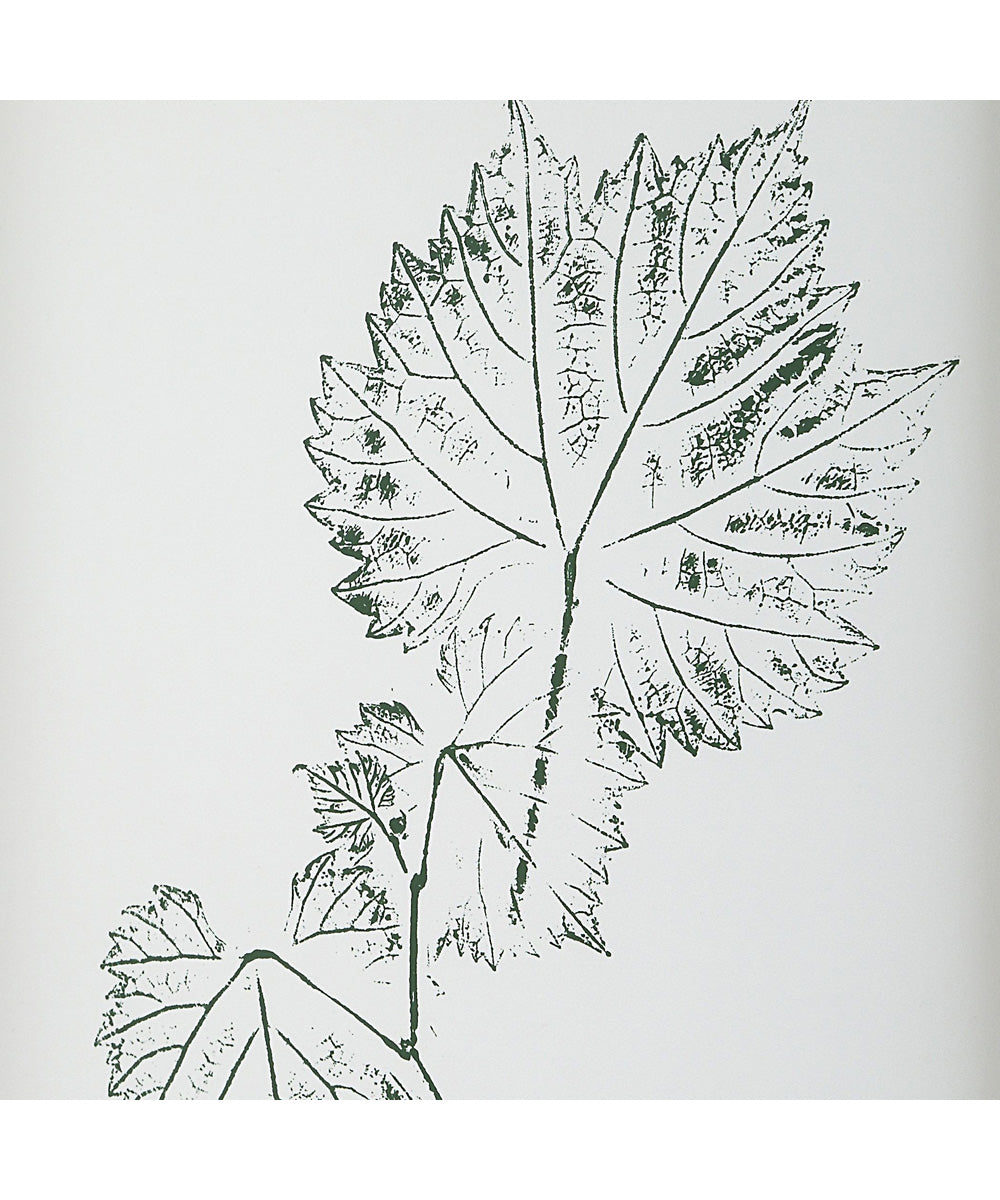Nature's Script Framed Botanical Prints Set/9