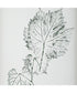 Nature's Script Framed Botanical Prints Set/9