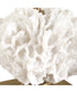 Caronia Coral Buffet Lamp