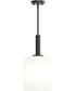Reines 1-Light Pendant with Opal Glass Shade Matte Black