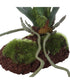 Clovis Orchid Drop-In