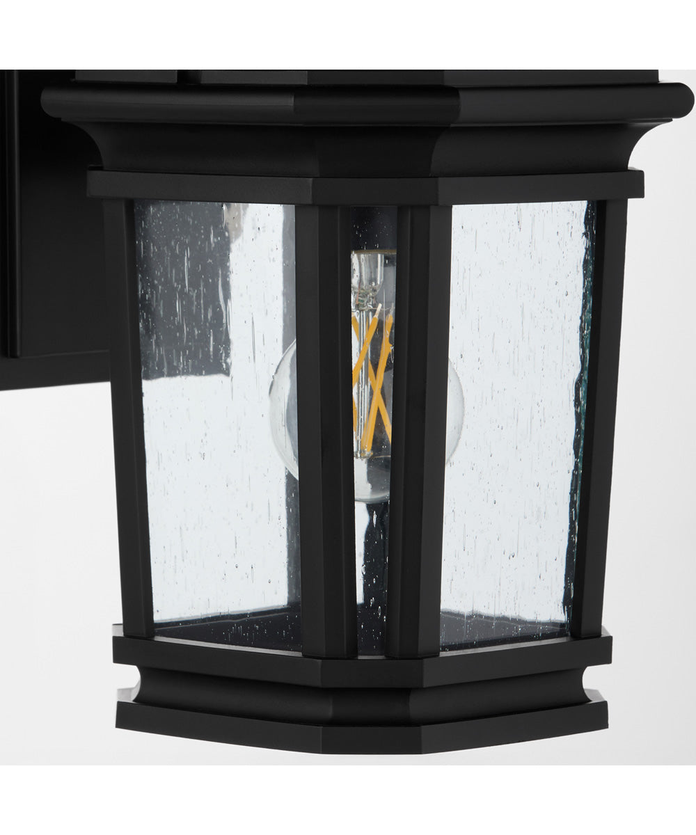 Murphy 1-light Outdoor Wall Lantern Matte Black