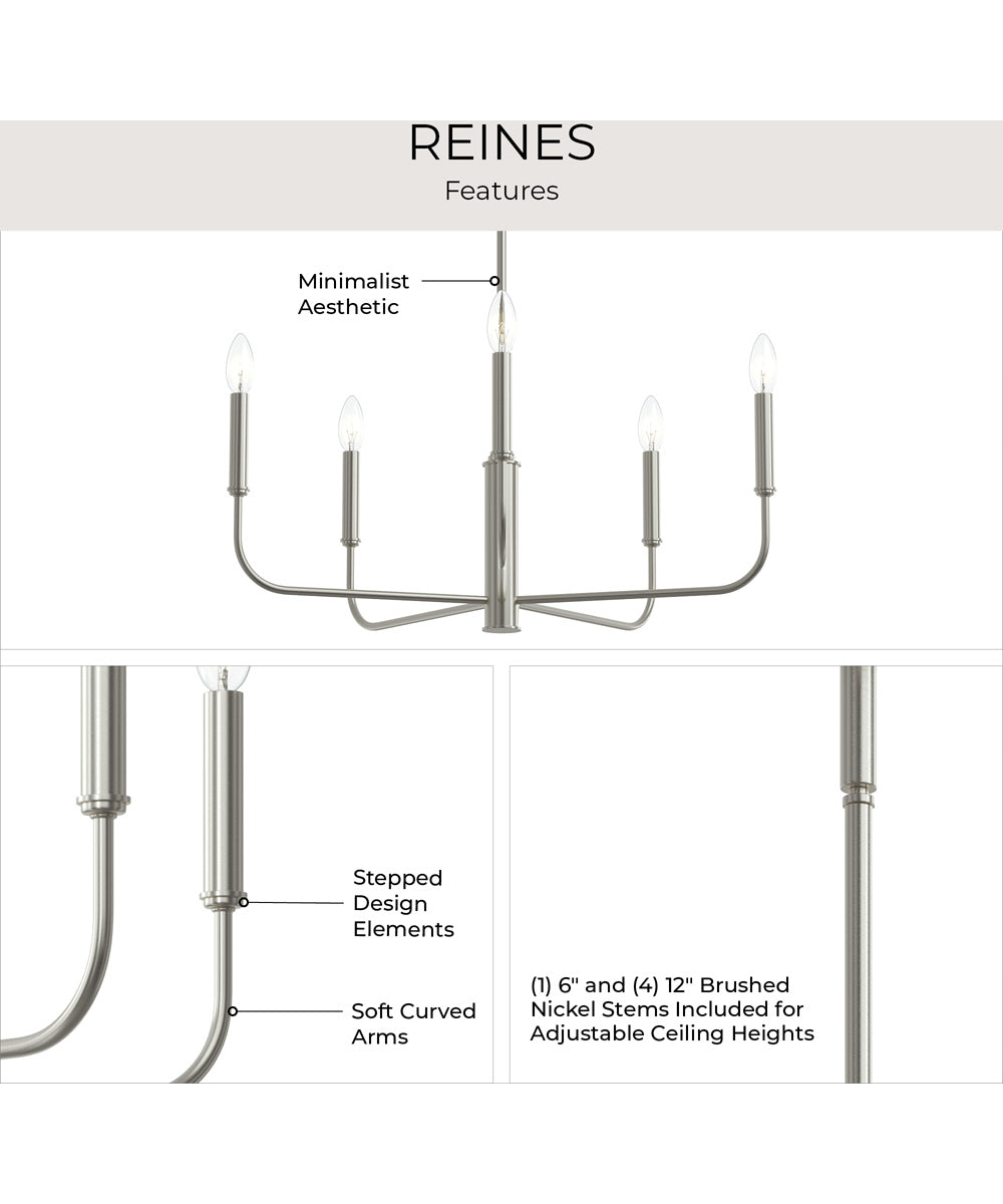 Reines 5-Light Medium Chandelier Brushed Nickel