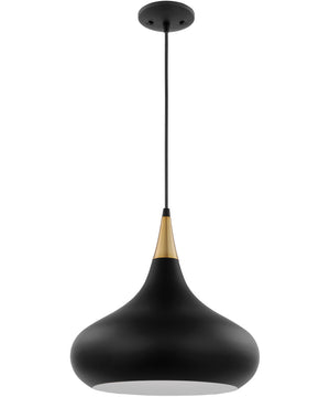 Phoenix 1-Light Pendant Matte Black / Burnished Brass