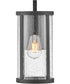 Alfie 1-Light Small Wall Mount Lantern in Black
