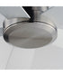 Daisies 60 inch 5-Blade Fan w LED Satin Nickel
