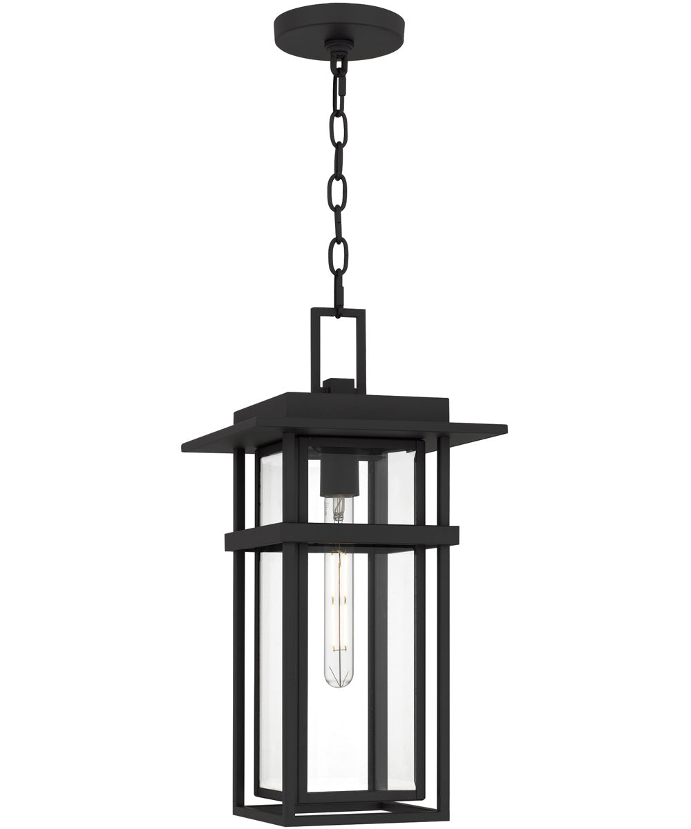 Morgan 1-light Outdoor Pendant Light Earth Black