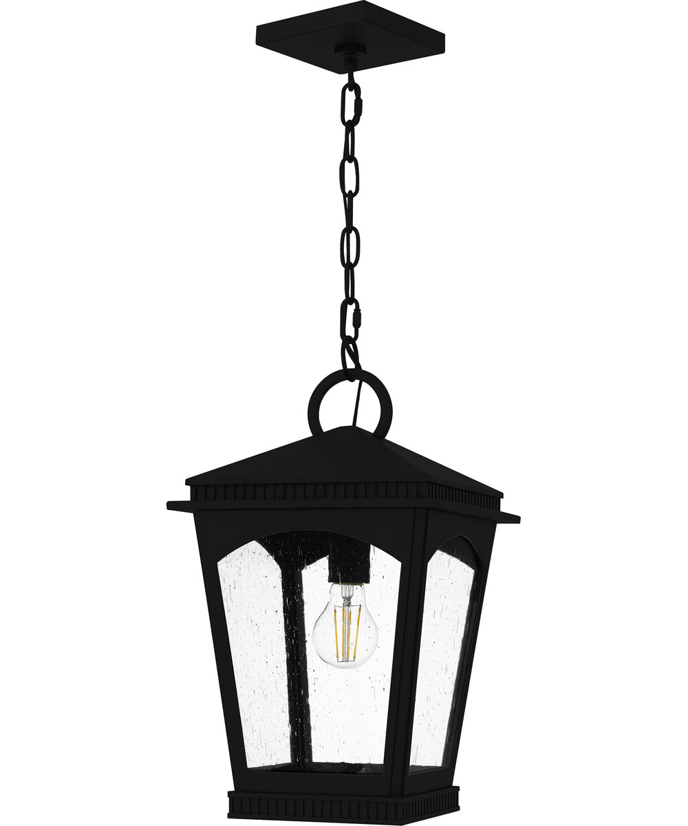 Huck Large 1-light Outdoor Pendant Light  Coastal Armour Aluminum Earth Black
