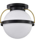 Lakeshore 1-Light Close-to-Ceiling Matte Black