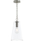 Jheni 1-Light Pendant with Clear Glass Shade Brushed Nickel