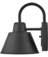 Wes 1-Light Small Gooseneck Barn Light in Black