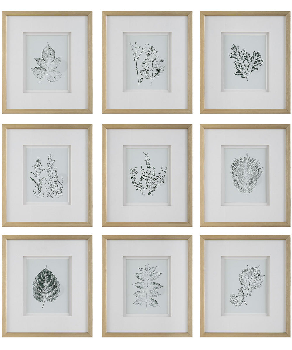 Nature's Script Framed Botanical Prints Set/9