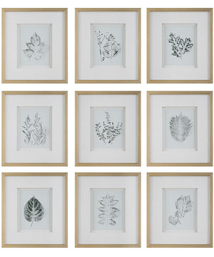 Nature's Script Framed Botanical Prints Set/9