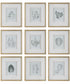 Nature's Script Framed Botanical Prints Set/9