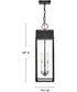 Campbell 3-Light Large Hanging Lantern in Black