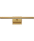 Rubelle 18.5 inch LED Picture Light Gold