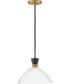 Simon 1-Light Medium Single Light Convertible Pendant in Black