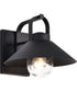Ridge 1-Light Outdoor Black