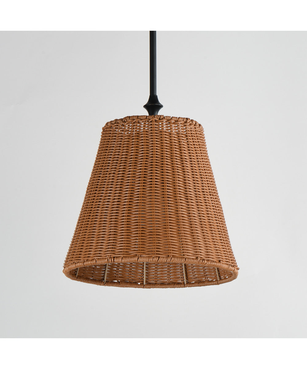 Baja 12 inch Single Pendant Dark Bronze