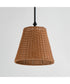 Baja 12 inch Single Pendant Dark Bronze