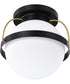 Lakeshore 1-Light Close-to-Ceiling Matte Black