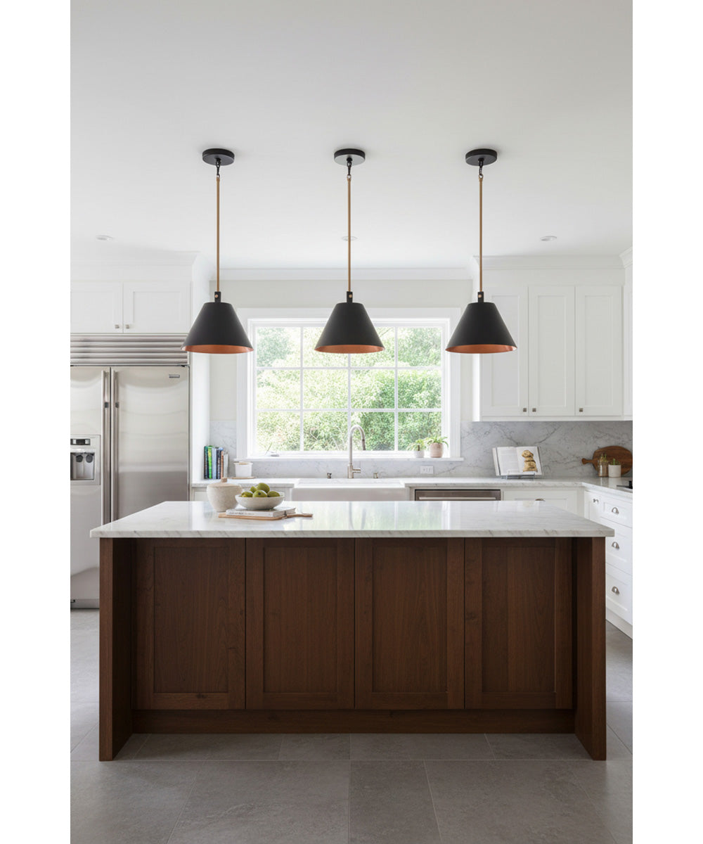 Blake 1-Light Lighting Flat Black/Satin Brass