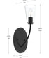 Jheni 1-Light Wall Sconce with Clear Glass Shades Matte Black