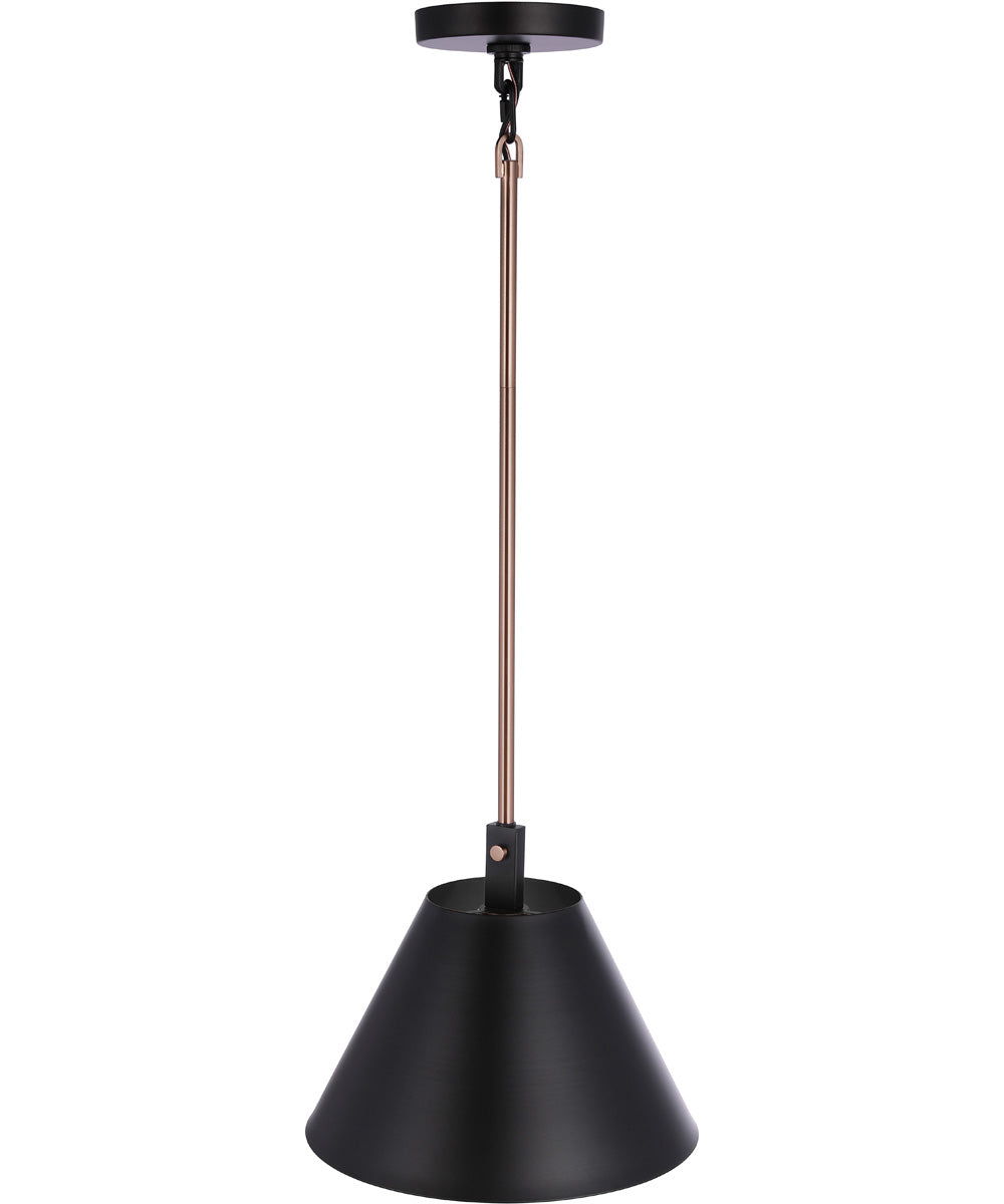 Blake 1-Light Lighting Flat Black/Satin Brass