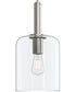 Reines 1-Light Pendant with Clear Glass Shade Brushed Nickel
