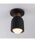 Pompeii 1-Light Flush Mount Lava / Black