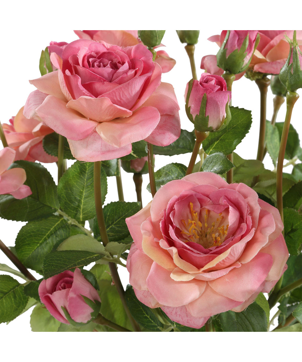 Adoration Rose Bouquet