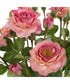 Adoration Rose Bouquet