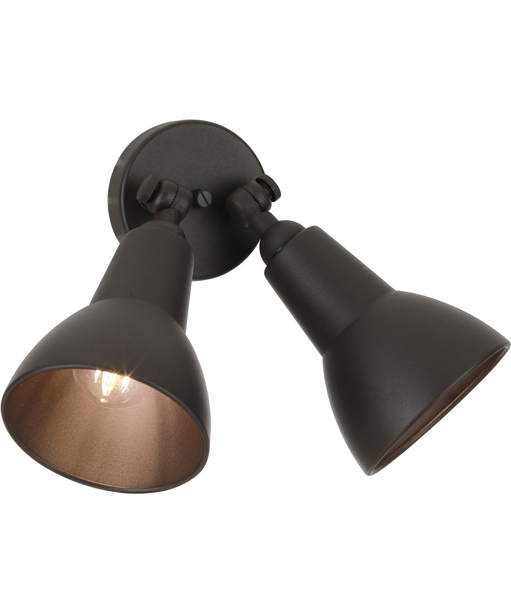 Flood Light 2-Light Outdoor Lighting Dark Textured Bronze