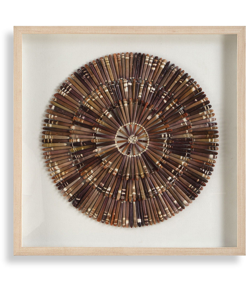 Tiger Sea Urchin Shadow Box