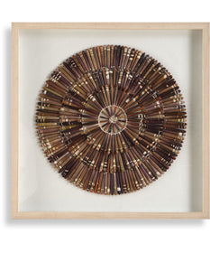 Tiger Sea Urchin Shadow Box