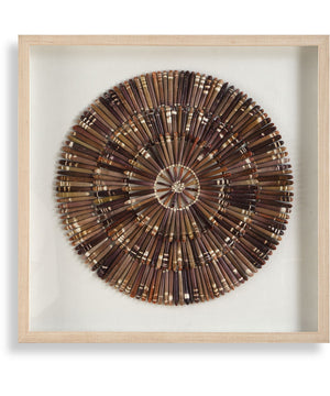 Tiger Sea Urchin Shadow Box