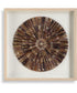 Tiger Sea Urchin Shadow Box