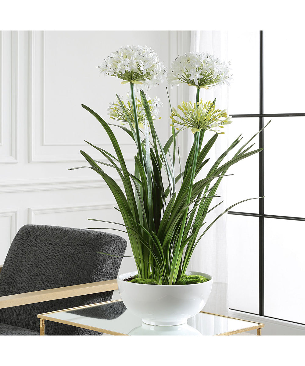 Purity Agapanthus Centerpiece