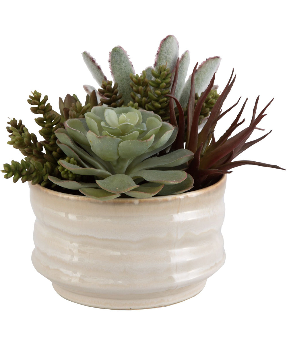 Mesa Succulent Accent