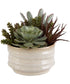 Mesa Succulent Accent