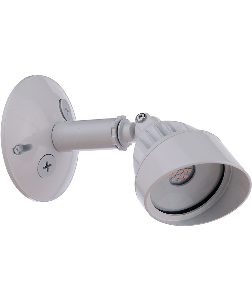 LED Flood Outdoor Lighting White